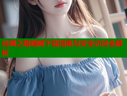 丝绸之路暗网下载指南与安全访问全解析
