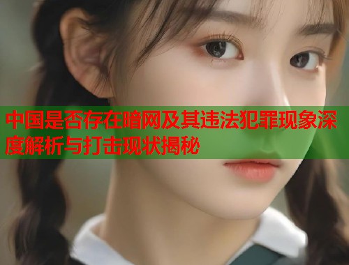 中国是否存在暗网及其违法犯罪现象深度解析与打击现状揭秘  第1张