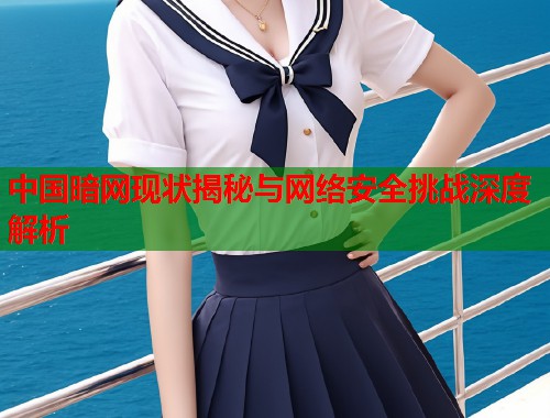 中国暗网现状揭秘与网络安全挑战深度解析  第2张
