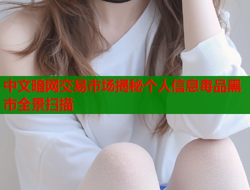 中文暗网交易市场揭秘个人信息毒品黑市全景扫描
