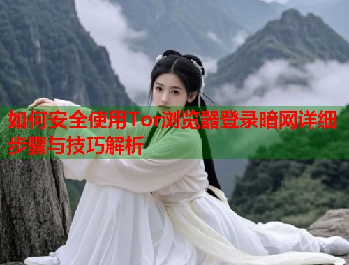 如何安全使用Tor浏览器登录暗网详细步骤与技巧解析  第2张