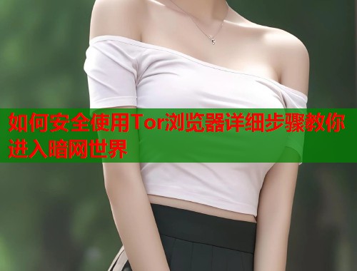 如何安全使用Tor浏览器详细步骤教你进入暗网世界