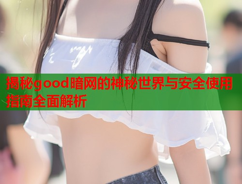 揭秘good暗网的神秘世界与安全使用指南全面解析