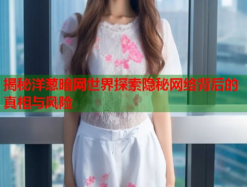 揭秘洋葱暗网世界探索隐秘网络背后的真相与风险
