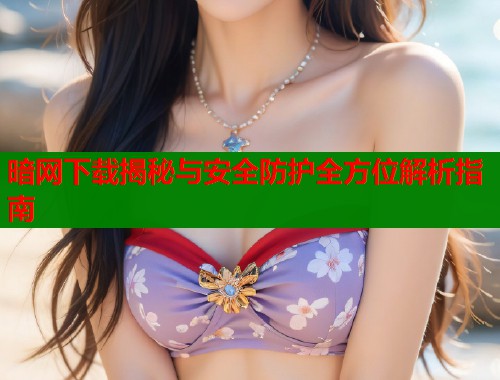 暗网下载揭秘与安全防护全方位解析指南  第2张