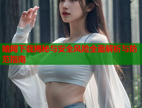 暗网下载揭秘与安全风险全面解析与防范指南