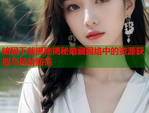 暗网下载揭秘揭秘隐藏网络中的资源获取与风险防范