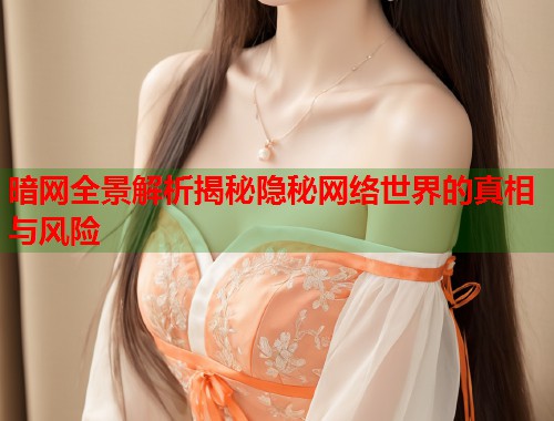 暗网全景解析揭秘隐秘网络世界的真相与风险