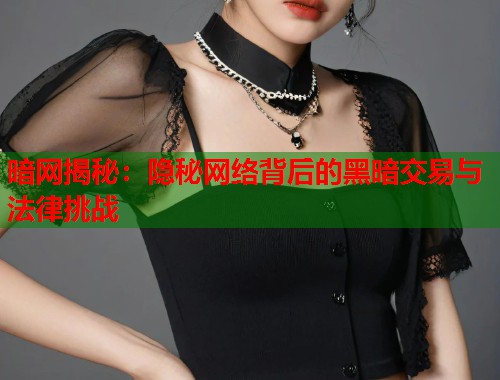 暗网揭秘：隐秘网络背后的黑暗交易与法律挑战