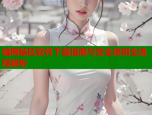 暗网禁区软件下载指南与安全使用全流程解析  第2张
