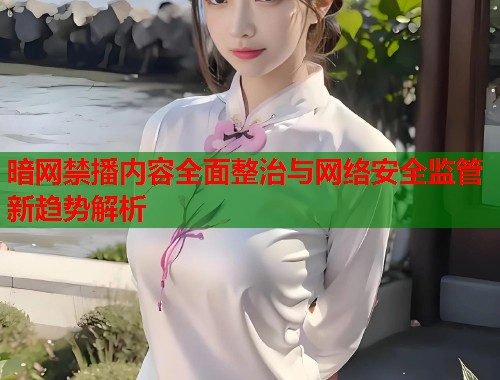 暗网禁播内容全面整治与网络安全监管新趋势解析