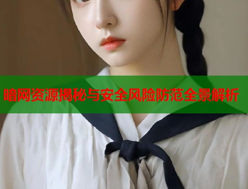 暗网资源揭秘与安全风险防范全景解析