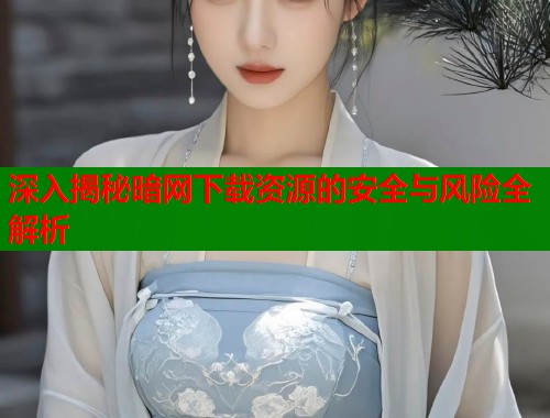 深入揭秘暗网下载资源的安全与风险全解析