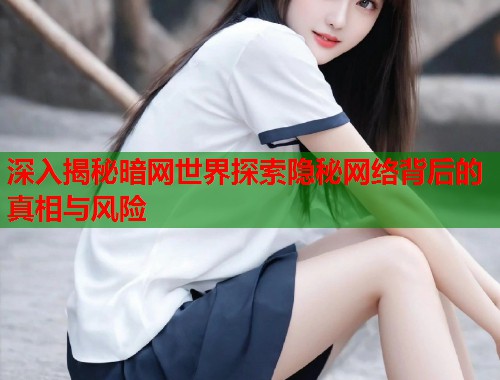 深入揭秘暗网世界探索隐秘网络背后的真相与风险  第2张