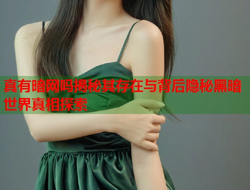 真有暗网吗揭秘其存在与背后隐秘黑暗世界真相探索  第2张