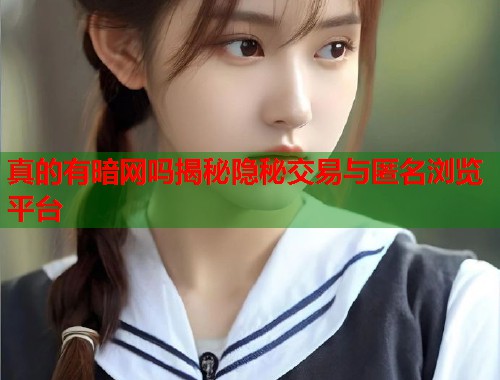 真的有暗网吗揭秘隐秘交易与匿名浏览平台  第2张
