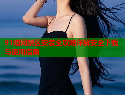91暗网禁区安装全攻略详解安全下载与使用指南