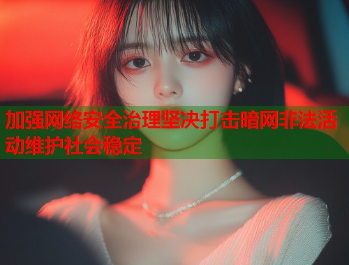 加强网络安全治理坚决打击暗网非法活动维护社会稳定  第2张