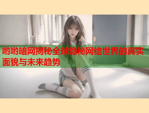 哟哟暗网揭秘全球隐秘网络世界的真实面貌与未来趋势