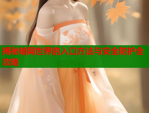 揭秘暗网世界的入口方法与安全防护全攻略
