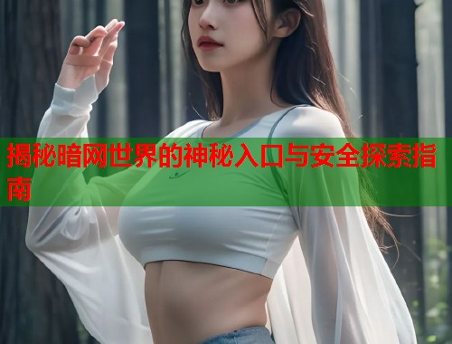 揭秘暗网世界的神秘入口与安全探索指南