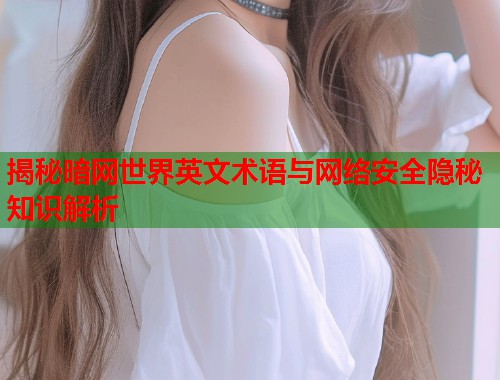 揭秘暗网世界英文术语与网络安全隐秘知识解析