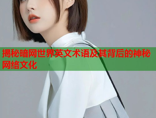 揭秘暗网世界英文术语及其背后的神秘网络文化  第2张