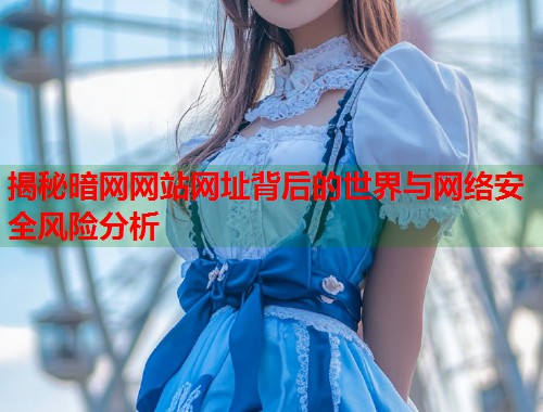揭秘暗网网站网址背后的世界与网络安全风险分析