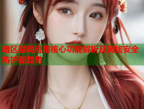 暗区禁网应用核心功能解析及网络安全防护新趋势  第2张