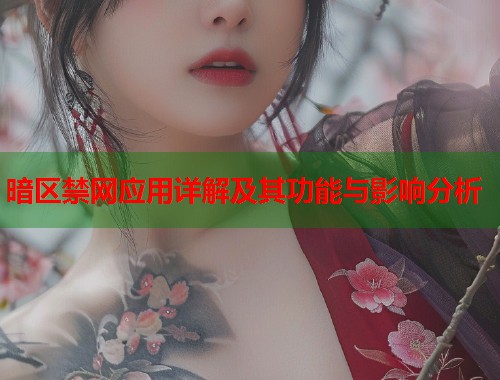 暗区禁网应用详解及其功能与影响分析
