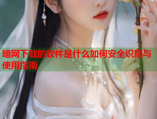 暗网下载的软件是什么如何安全识别与使用指南