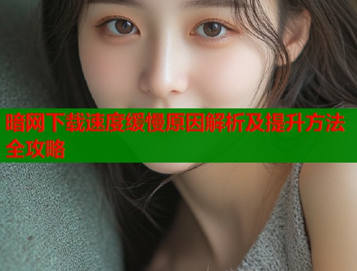 暗网下载速度缓慢原因解析及提升方法全攻略  第2张