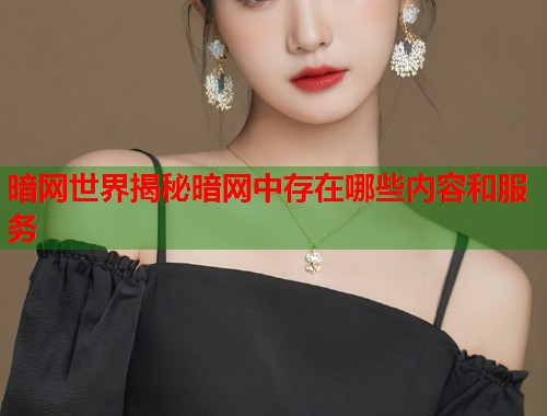 暗网世界揭秘暗网中存在哪些内容和服务  第2张