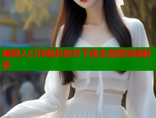 暗网入口详解及软件下载全流程指南解析
