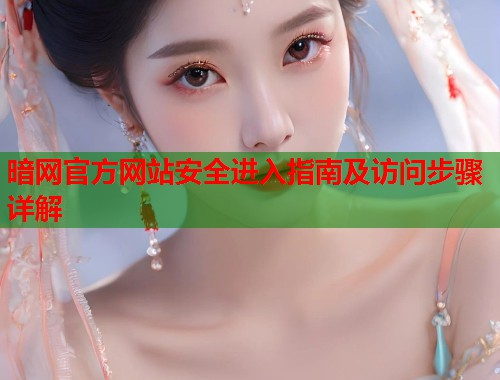 暗网官方网站安全进入指南及访问步骤详解