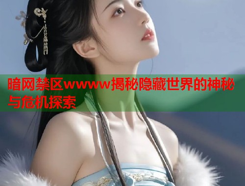暗网禁区wwww揭秘隐藏世界的神秘与危机探索
