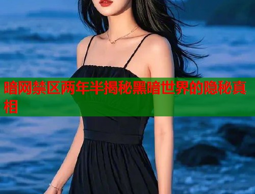 暗网禁区两年半揭秘黑暗世界的隐秘真相