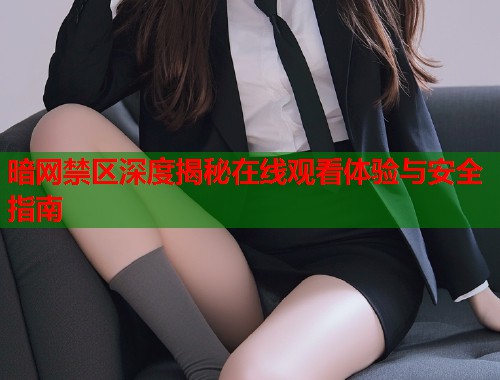 暗网禁区深度揭秘在线观看体验与安全指南  第2张