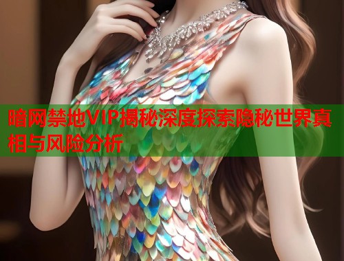 暗网禁地VIP揭秘深度探索隐秘世界真相与风险分析