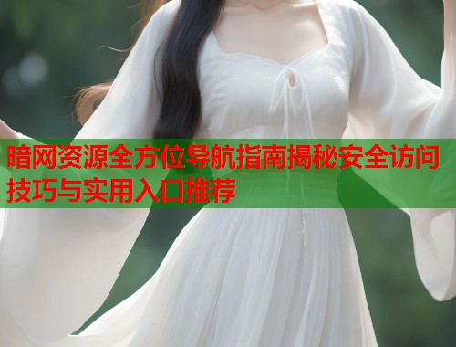 暗网资源全方位导航指南揭秘安全访问技巧与实用入口推荐