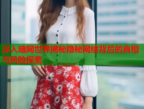 深入暗网世界揭秘隐秘网络背后的真相与风险探索