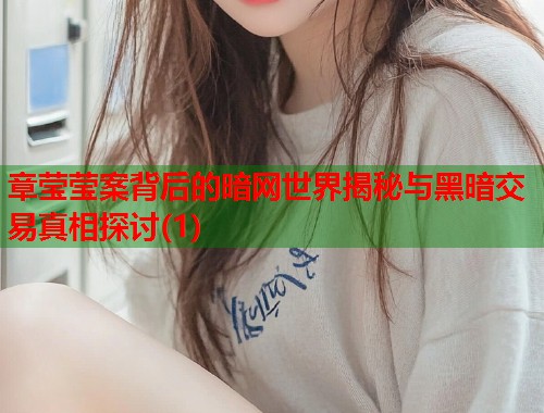 章莹莹案背后的暗网世界揭秘与黑暗交易真相探讨(1)  第2张
