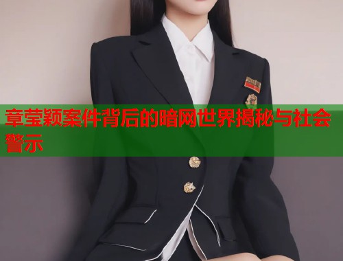 章莹颖案件背后的暗网世界揭秘与社会警示  第2张