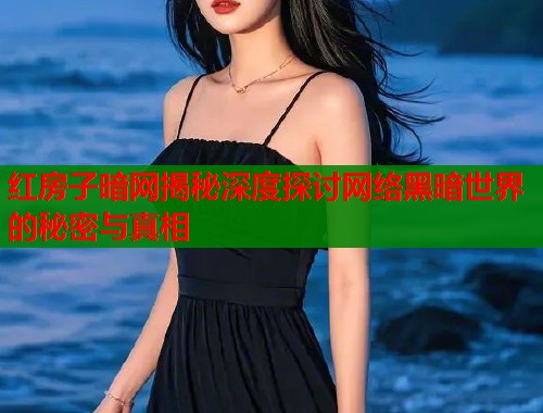红房子暗网揭秘深度探讨网络黑暗世界的秘密与真相