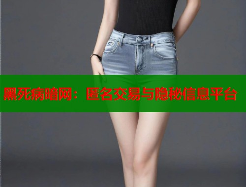 黑死病暗网：匿名交易与隐秘信息平台