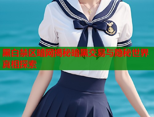 黑白禁区暗网揭秘暗黑交易与隐秘世界真相探索  第2张